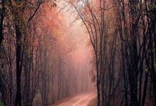 法国队和意大利队对决，谁的历史交锋更占优？战术风格又有哪些碰撞？